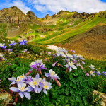 مناظر طبيعية رقم ثلاثة مناظر طبيعية رقم ثلاثة