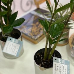 دبلوماسي روسي يرد على انتقادات ضرب مواقع المعارضة المعتدلة