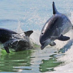 الحدث الذي سيحول شيكاغو إلى معرض فني كبير الحدث الذي سيحول شيكاغو إلى معرض فني كبير