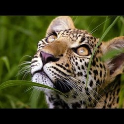 تاريخ العالم في ساعتين تاريخ العالم في ساعتين