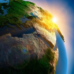 فندق ترانسيلفانيا فندق ترانسيلفانيا