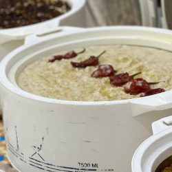 نظرة على أجمل الموانئ في العالم نظرة على أجمل الموانئ في العالم